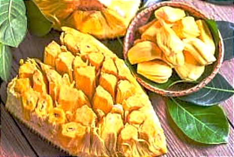 Nangka mengandung lebih dari 3 gram protein per cangkir, dibandingkan dengan 0-1 gram pada jenis buah serupa lainnya, seperti apel dan mangga.