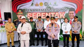 Wujudkan Swasembada Pangan 2025, Polri Bersama Kementerian Pertanian Launching Penanaman 1 Juta Hektare Jagung