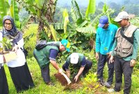 FKDT, FPP turut serta melakukan penanaman pohon bersama Kemenag Kabupaten, Subang, KUA, MTs, MI se-Subang Selatan serta Pemdes Cupunagara.