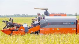 Foto. Saat Presiden Prabowo memimpin panen raya padi di Desa Randegan Wetan, Ligung, Majalengka, Jawa Barat, Senin (7/4/2025) lalu. Panen raya padi dilakukan secara serentak bersama petani di 14 provinsi dan 157 kabupaten/kota.