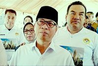 Koperasi Desa Merah Putih: Mendes Yandri Fokus pada Pembentukan Kelembagaan, Rekrutmen SDM Belum Dilakukan