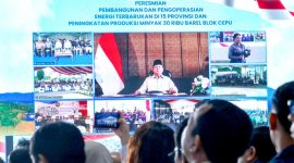 Presiden Prabowo menegaskan bahwa proyek-proyek tersebut merupakan tonggak penting dalam mewujudkan kemandirian energi nasional yang berkelanjutan, dan bahwa kedaulatan energi merupakan bagian dari kedaulatan bangsa. 