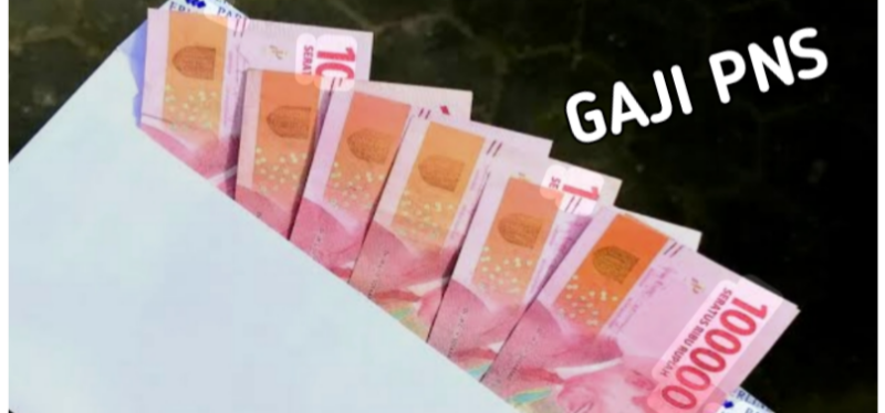 Ilustrasi Gaji PNS. Menkeu Cairkan Gaji dan Tambahan Penghasilan PNS Golongan 3B Tepat Waktu Juli 2025