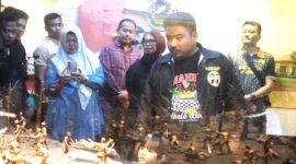 Didampingi Asisten Daerah Bidang Pemerintahan dan Kesejahteraan Rakyat, Kepala Dinas Pendidikan dan Kebudayaan, serta Kepala Dinas Pariwisata, Pemuda, dan Olahraga, Bupati meninjau langsung koleksi museum