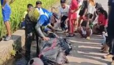 Insiden Pendaratan di West Java Paragliding Championship 2025: Kompetisi Internasional di Sumedang