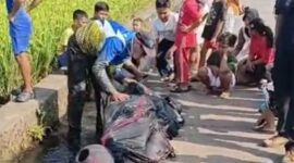 Insiden Pendaratan di West Java Paragliding Championship 2025: Kompetisi Internasional di Sumedang