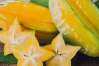 Jenis dan Manfaat Buah Belimbing untuk Kesehatan Tubuh Kita