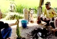 Pemkab Sumedang Dukung Ketahanan Pangan Melalui Pengendalian OPT Wereng Hijau