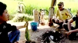 Pemkab Sumedang Dukung Ketahanan Pangan Melalui Pengendalian OPT Wereng Hijau