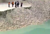 Pihak berwenang setempat masih melakukan investigasi lebih lanjut terkait penyebab pasti kejadian ini.