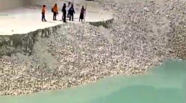 Pihak berwenang setempat masih melakukan investigasi lebih lanjut terkait penyebab pasti kejadian ini.