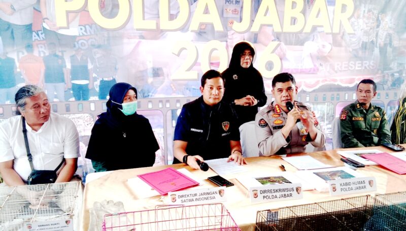 Polda Jabar Bongkar Praktik Penyimpanan Satwa Liar Dilindungi, 14 Elang Diamankan