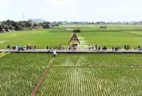 7 Desa Wisata Baru di Subang yang Memikat dengan Keunikan Alami dan Budaya. 