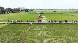 7 Desa Wisata Baru di Subang yang Memikat dengan Keunikan Alami dan Budaya. 