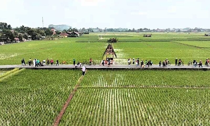 7 Desa Wisata Baru di Subang yang Memikat dengan Keunikan Alami dan Budaya. 