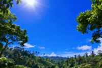 BMKG menyatakan fenomena yang terjadi saat ini bukan gelombang panas, melainkan peningkatan suhu udara.