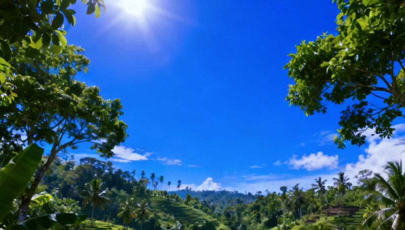 BMKG menyatakan fenomena yang terjadi saat ini bukan gelombang panas, melainkan peningkatan suhu udara.