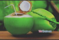 Air kelapa dikenal memiliki berbagai manfaat bagi kesehatan tubuh.
