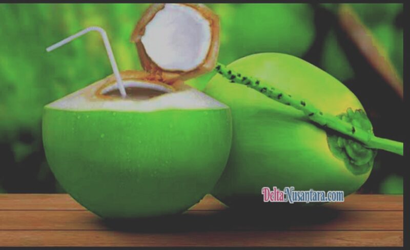 Air kelapa dikenal memiliki berbagai manfaat bagi kesehatan tubuh.