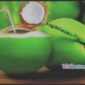 Air kelapa dikenal memiliki berbagai manfaat bagi kesehatan tubuh.