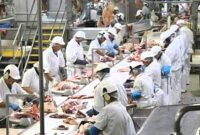 Presiden Partai Buruh, Said Iqbal, mengungkapkan potensi terjadinya gelombang pemutusan hubungan kerja (PHK) dalam tiga bulan ke depan. Foto. Ilustrasi. 