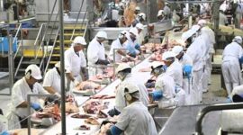 Presiden Partai Buruh, Said Iqbal, mengungkapkan potensi terjadinya gelombang pemutusan hubungan kerja (PHK) dalam tiga bulan ke depan. Foto. Ilustrasi. 