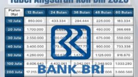 Rincian Plafon dan Estimasi Angsuran
Pinjaman sebesar Rp500 juta termasuk dalam kategori KUR Kecil.