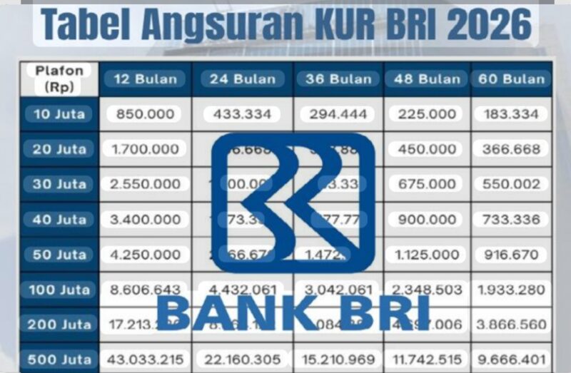 Rincian Plafon dan Estimasi Angsuran
Pinjaman sebesar Rp500 juta termasuk dalam kategori KUR Kecil.