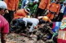 Dua wisatawan korban longsor di Curug Cileat ditemukan, proses evakuasi masih berlangsung. 