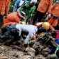 Dua wisatawan korban longsor di Curug Cileat ditemukan, proses evakuasi masih berlangsung. 